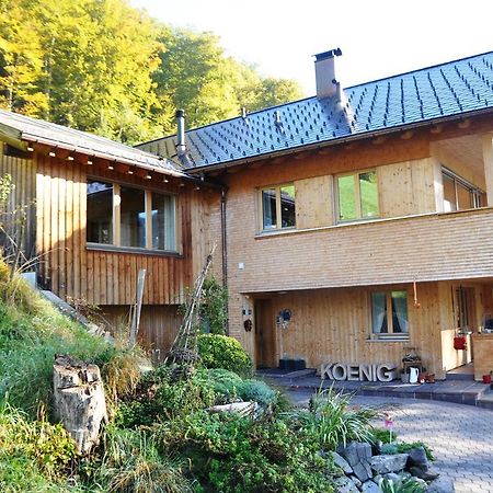 Апартаменты Haus Koenig Безау Экстерьер фото